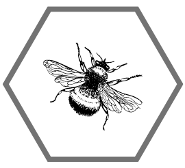 Bee Professional Services